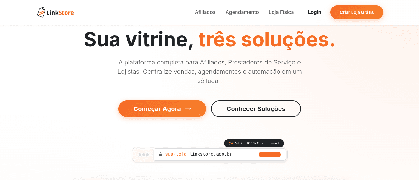 Linkstore - Gestão Inteligente para o seu Negócio - imagem 1